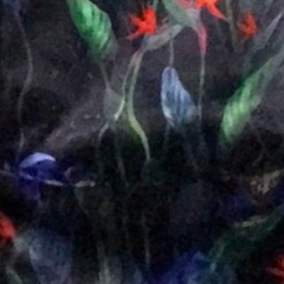 Back pack - Picture 5 of 5